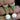 925 Sterling Silver Earrings Oval Emerald 7x5mm Pearl Ruby Sapphire Owl Gemstone