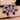 925 Sterling Silver Earrings Pear Rhodolite Garnet Tanzanite Gemstone Jewelry